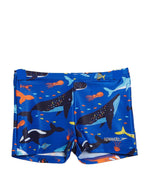 Toddler Boys Shark Aquashort Blue/Lobster/Canary