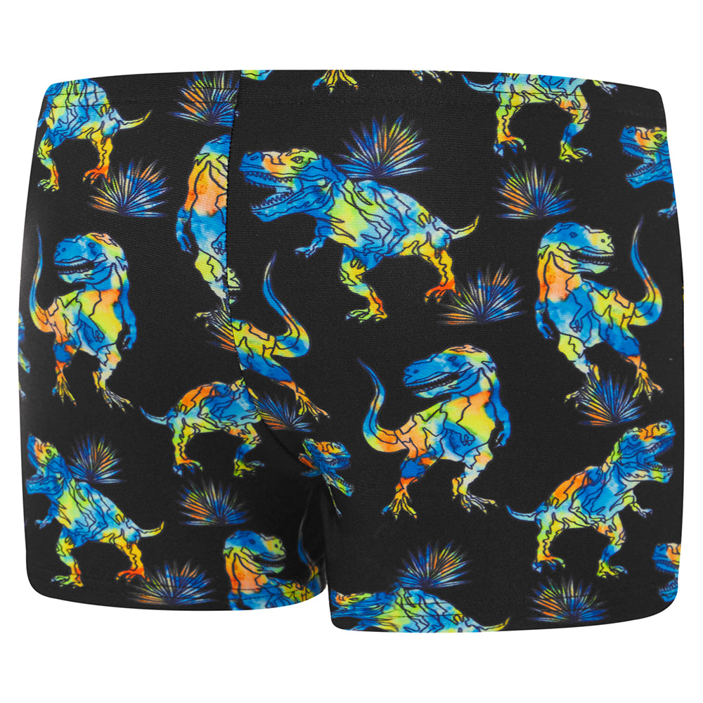 Toddler Boys Dinosaur Aquashort Black/Multi