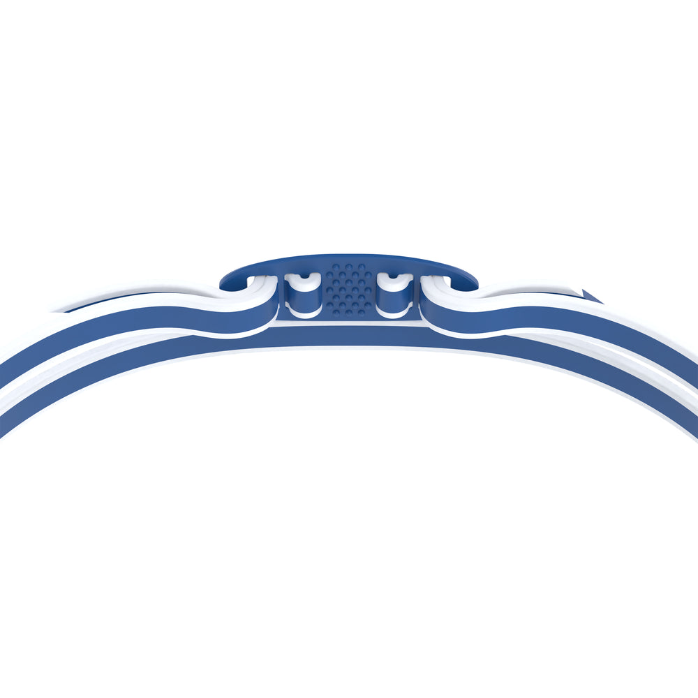 Vanquisher 3.0 Mirror Goggles Blue/Steel/Silver