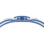 Vanquisher 3.0 Mirror Goggles Blue/Steel/Silver